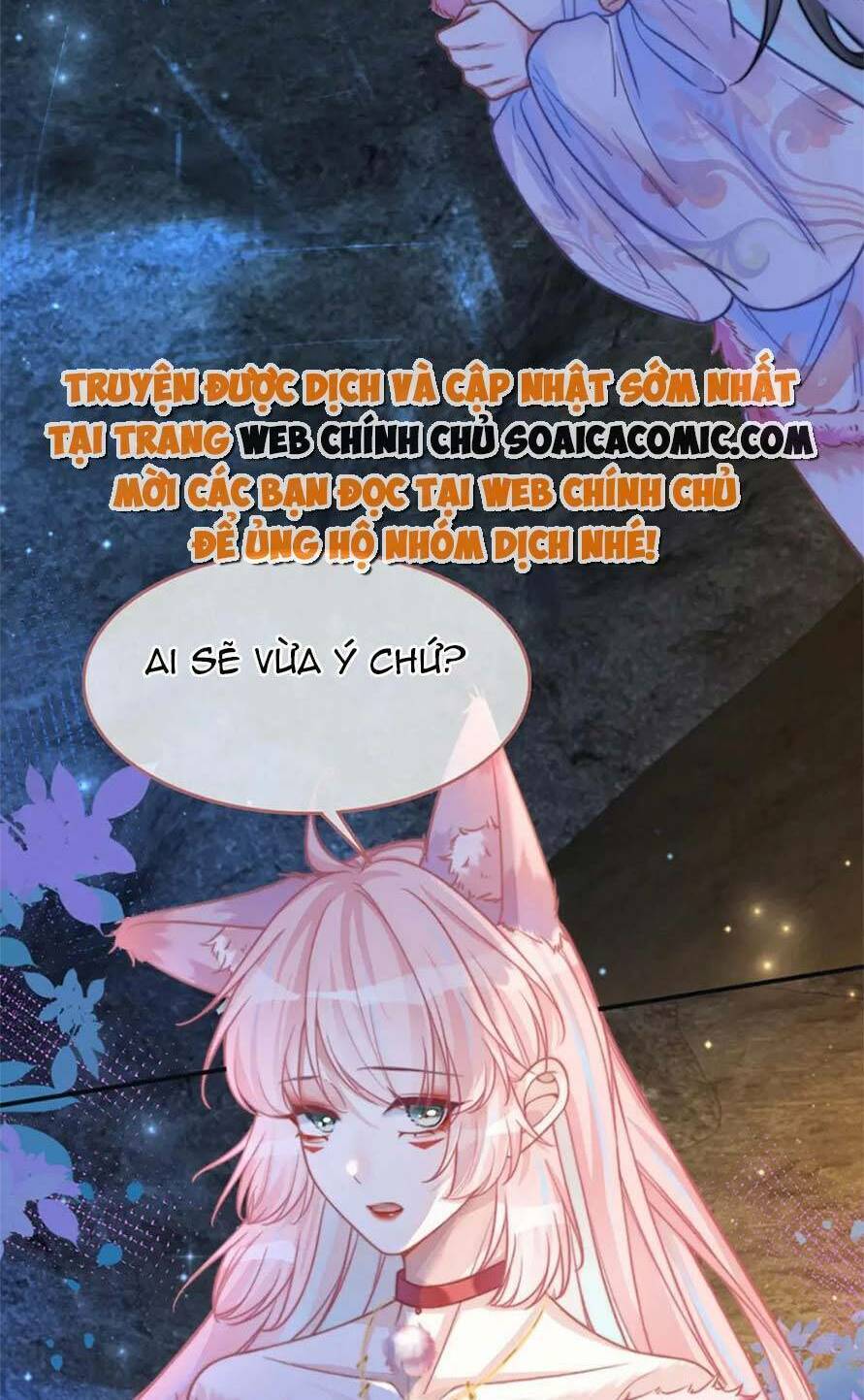 Xuyên Nhanh Nữ Phụ Bình Tĩnh Chút Chương 161 Ảnh 65