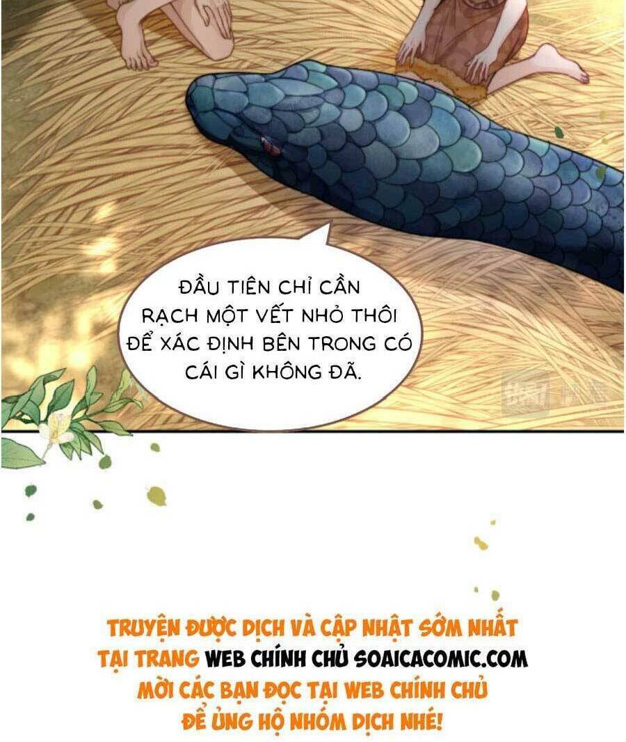 Xuyên Nhanh Nữ Phụ Bình Tĩnh Chút Chương 167.1 Ảnh 7