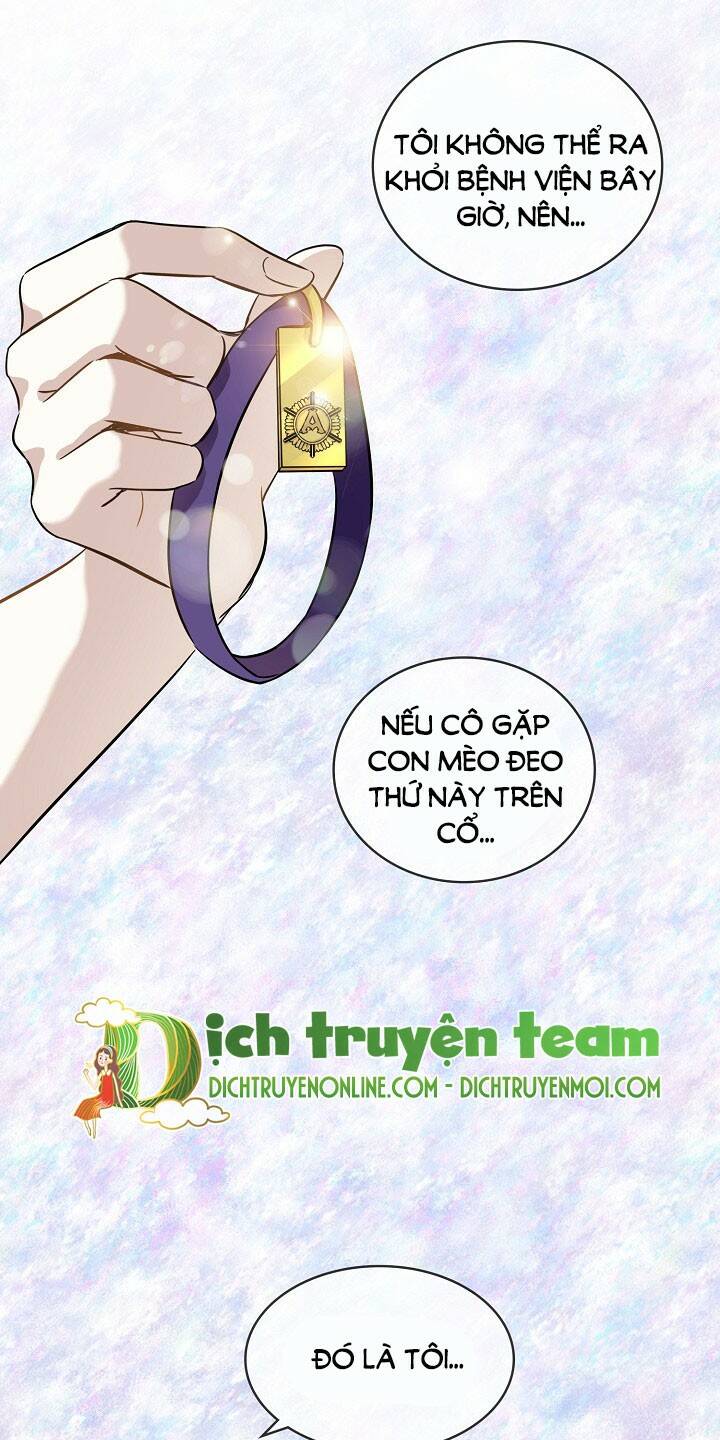 Cuộc Sống Kỳ Thú Chương 91 Ảnh 61
