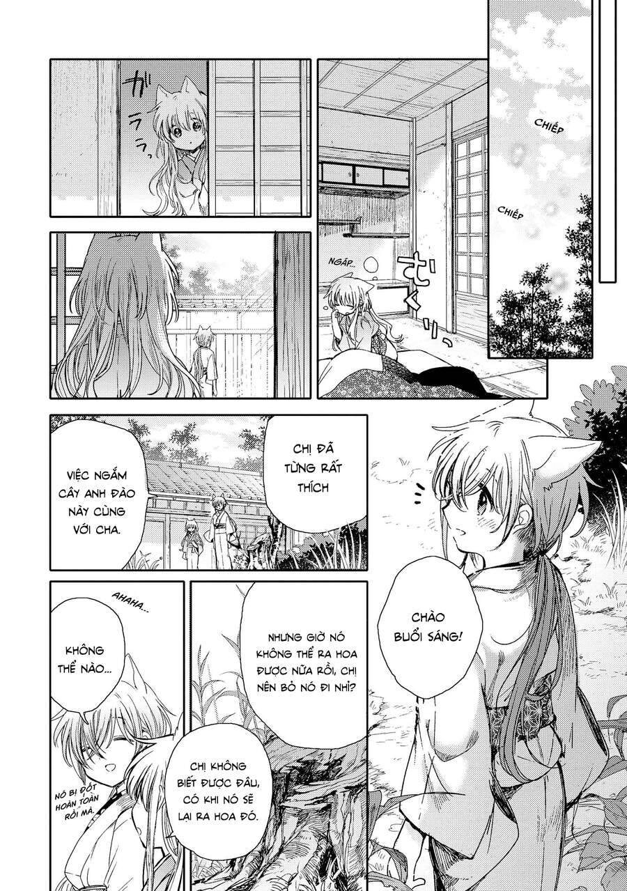 Tsuki Ga Kirei Desu Ne Chương 8 Ảnh 50