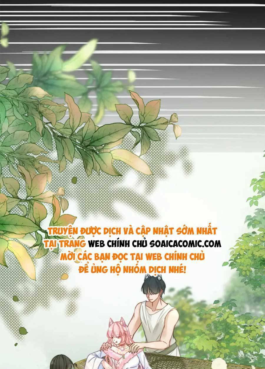 Xuyên Nhanh Nữ Phụ Bình Tĩnh Chút Chương 169 Ảnh 8