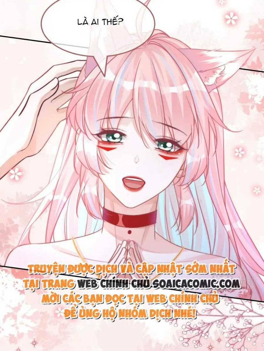 Xuyên Nhanh Nữ Phụ Bình Tĩnh Chút Chương 163 Ảnh 57