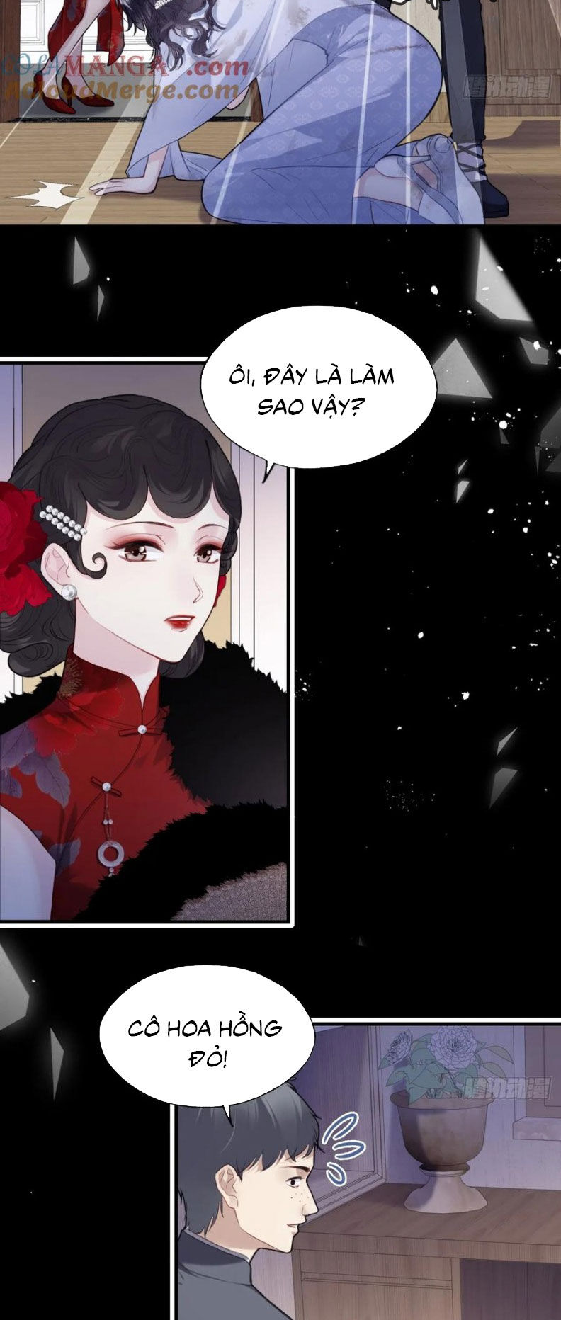 Anh Ấy Chưa Từng Rơi Xuống Chương 119 Ảnh 6