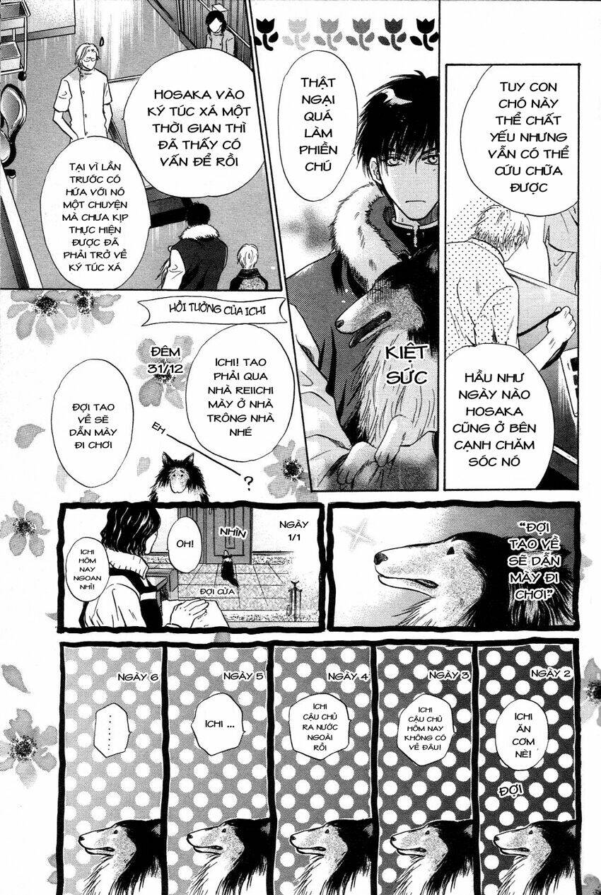Komatta Toki Ni Wa Hoshi Ni Kike! Chương 41 Ảnh 35