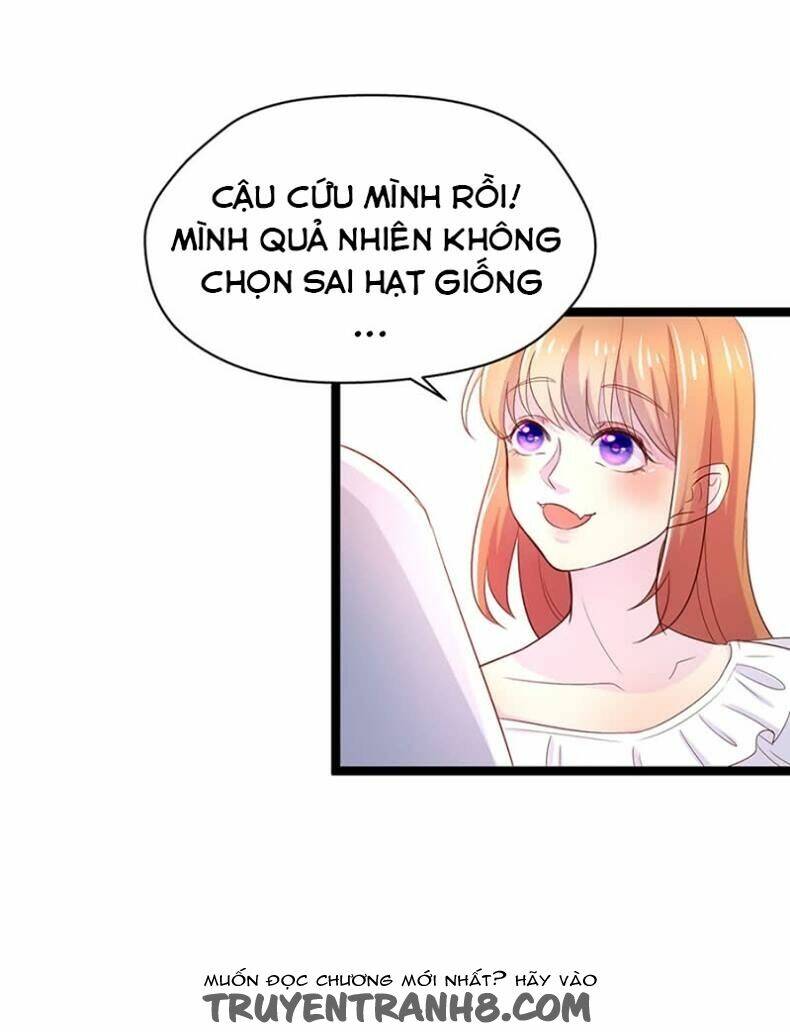 Lãnh Tình Boss Xin Buông Tay Em Chương 12 Ảnh 13