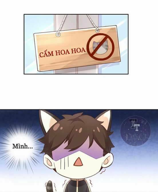 Dưới Móng Vuốt Mèo Chương 2 Ảnh 43