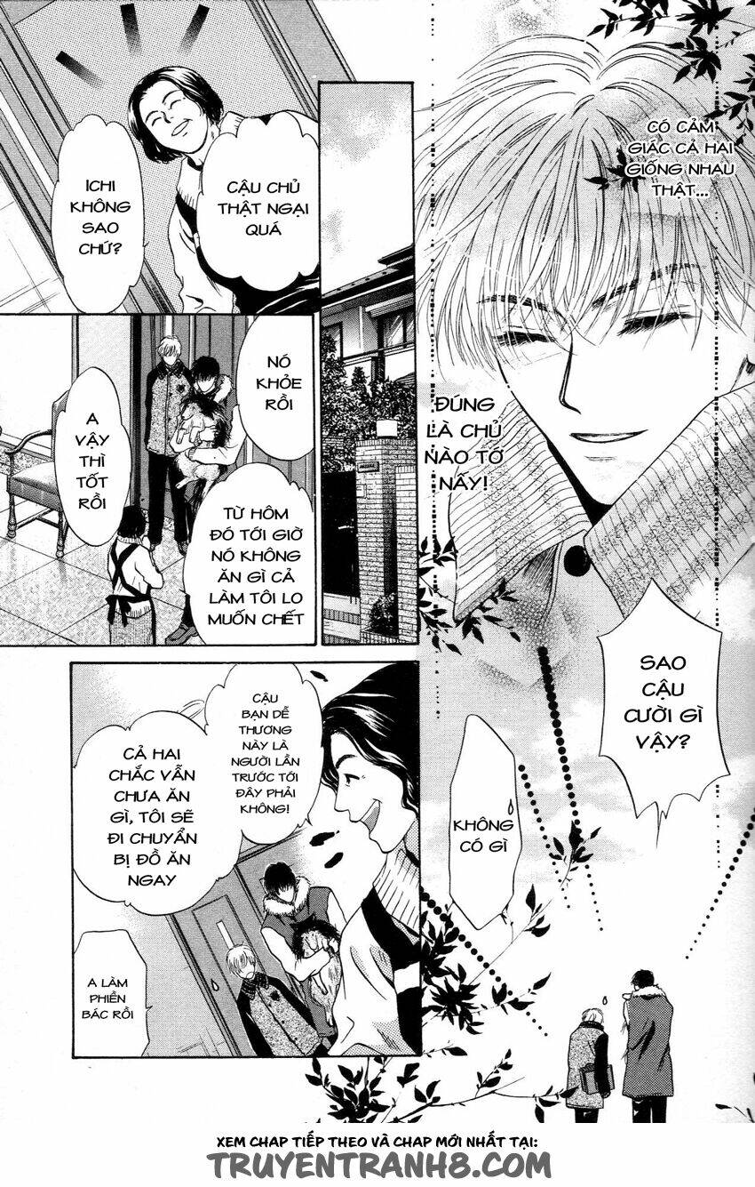 Komatta Toki Ni Wa Hoshi Ni Kike! Chương 41 Ảnh 37