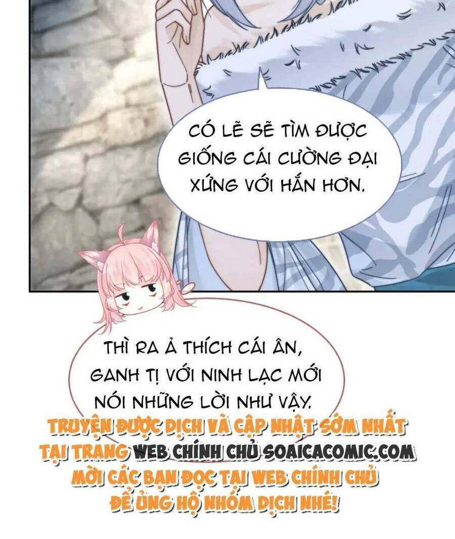 Xuyên Nhanh Nữ Phụ Bình Tĩnh Chút Chương 156 Ảnh 29