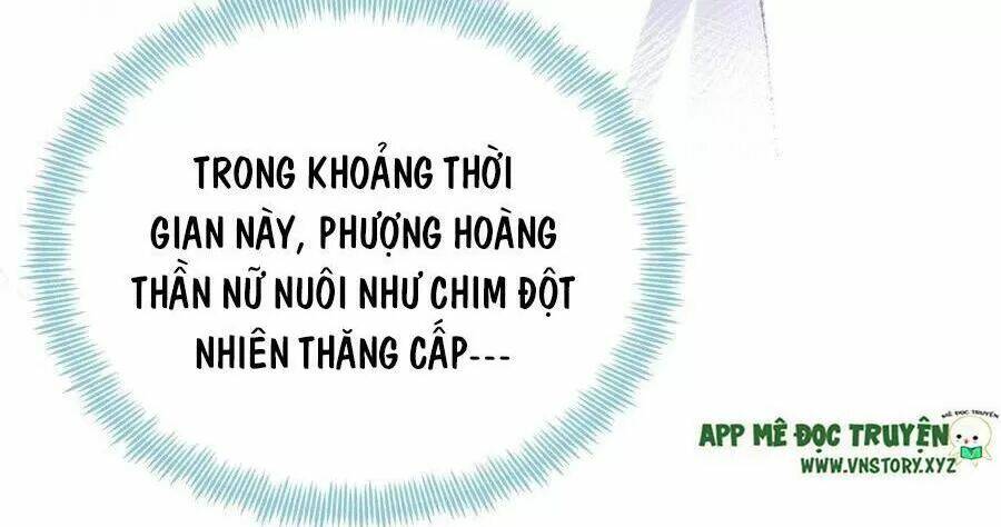 Lại Bị Bệnh Chiều Chuộng Quấn Lấy Chương 71 Ảnh 9