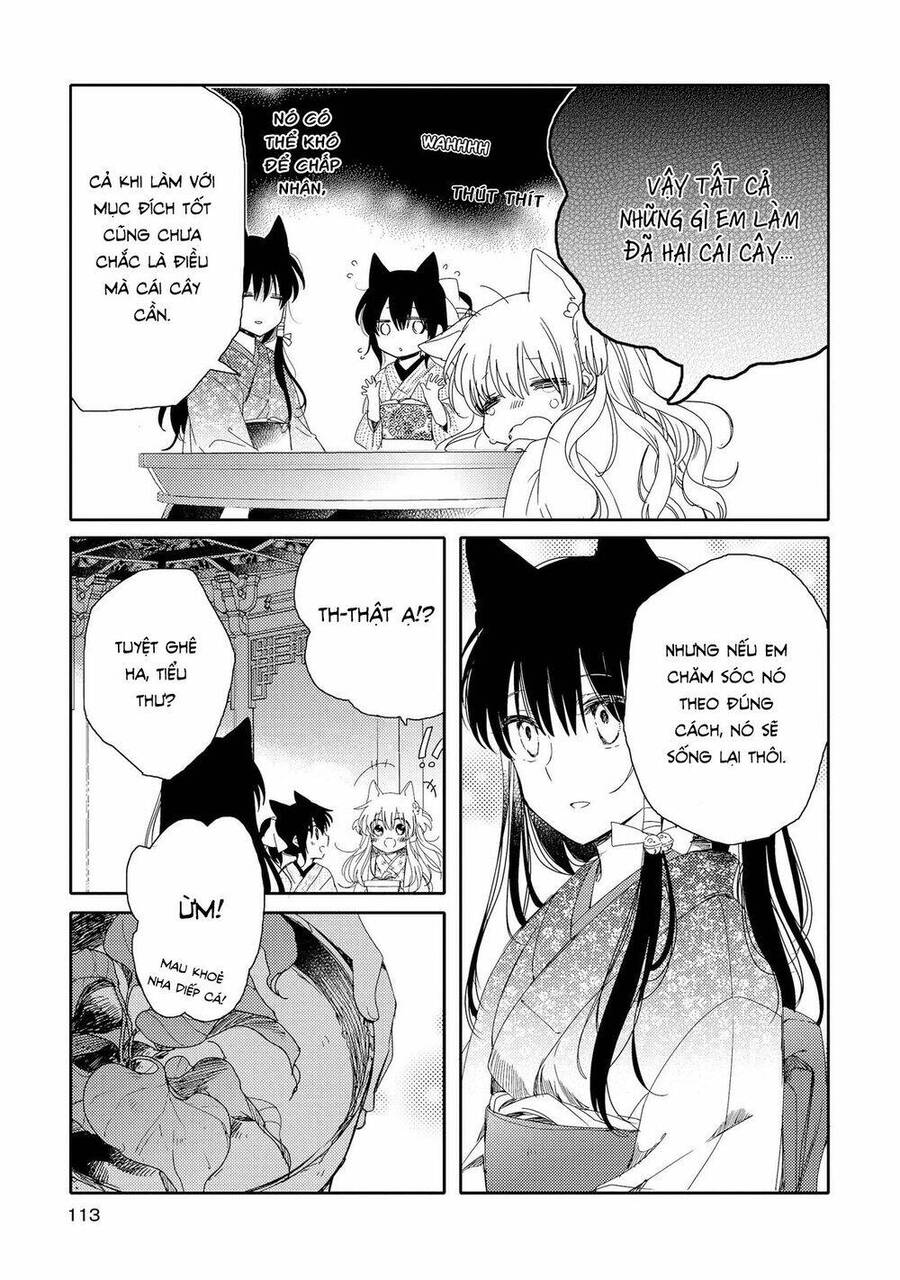 Tsuki Ga Kirei Desu Ne Chương 3 Ảnh 30