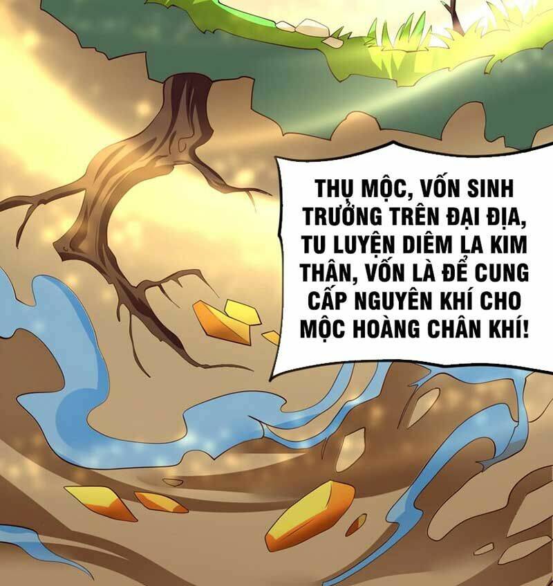 Vĩnh Sinh Chương 70 Ảnh 35