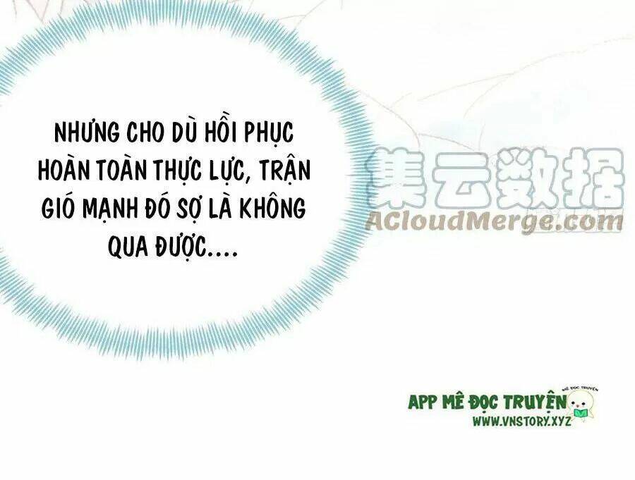 Lại Bị Bệnh Chiều Chuộng Quấn Lấy Chương 70 Ảnh 15