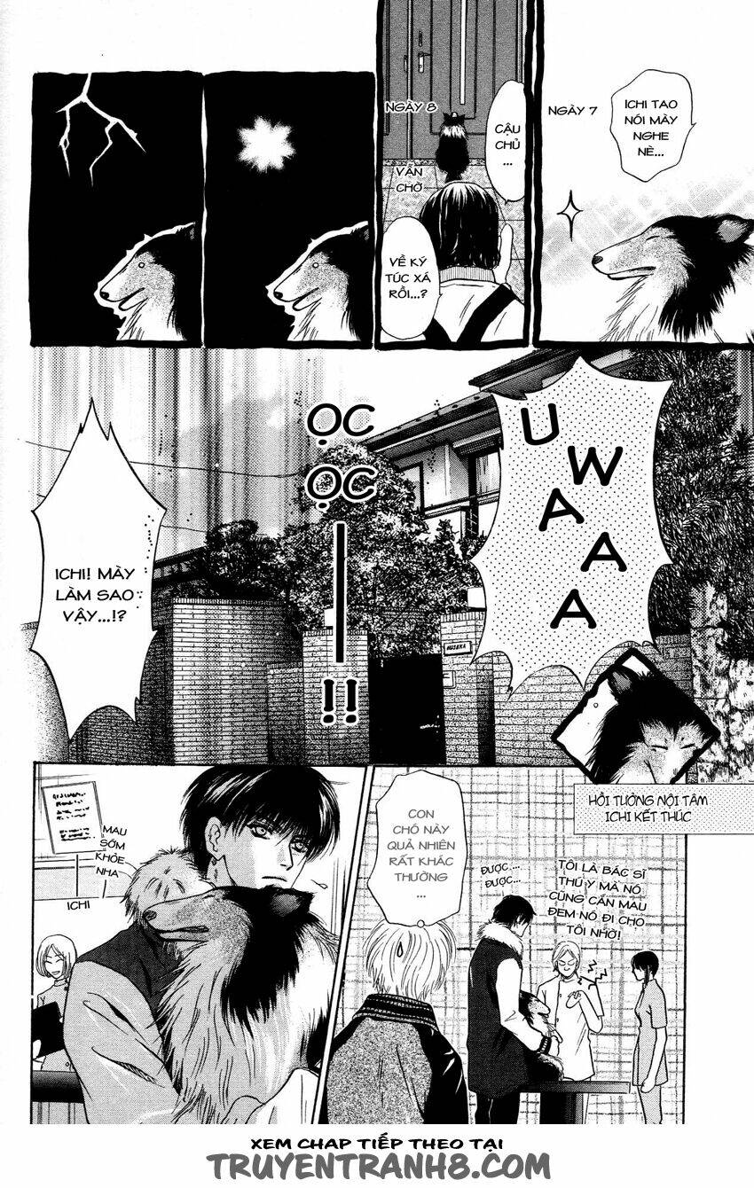 Komatta Toki Ni Wa Hoshi Ni Kike! Chương 41 Ảnh 36