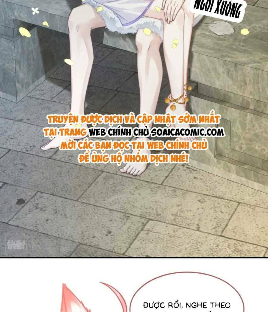 Xuyên Nhanh Nữ Phụ Bình Tĩnh Chút Chương 169 Ảnh 61