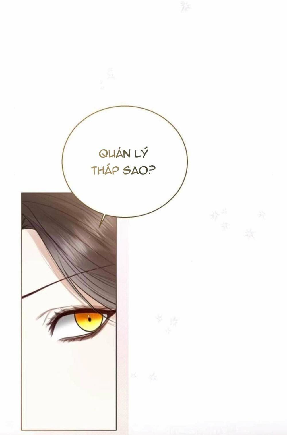 Tôi Sẽ Từ Bỏ Vị Trí Hoàng Phi Chương 27 Ảnh 82