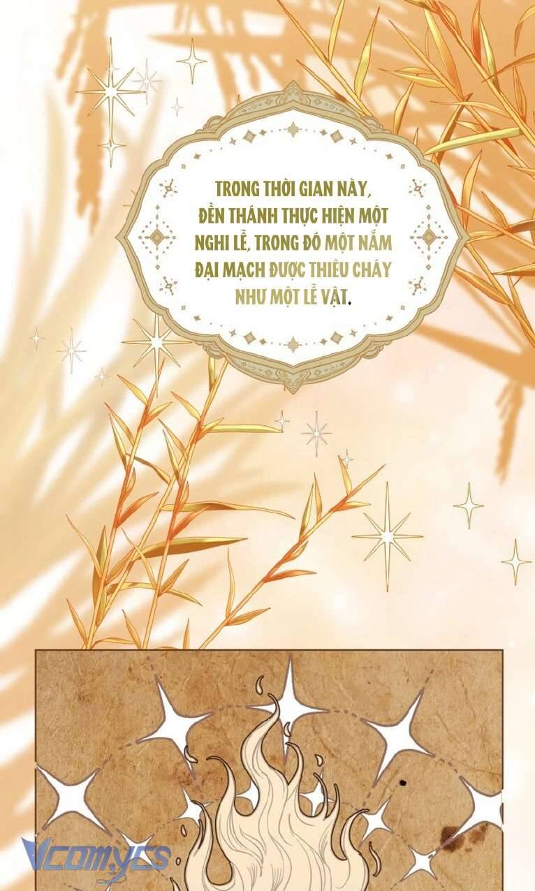Sự Điều Trị Đặc Biệt Của Tinh Linh Chương 84 Ảnh 47