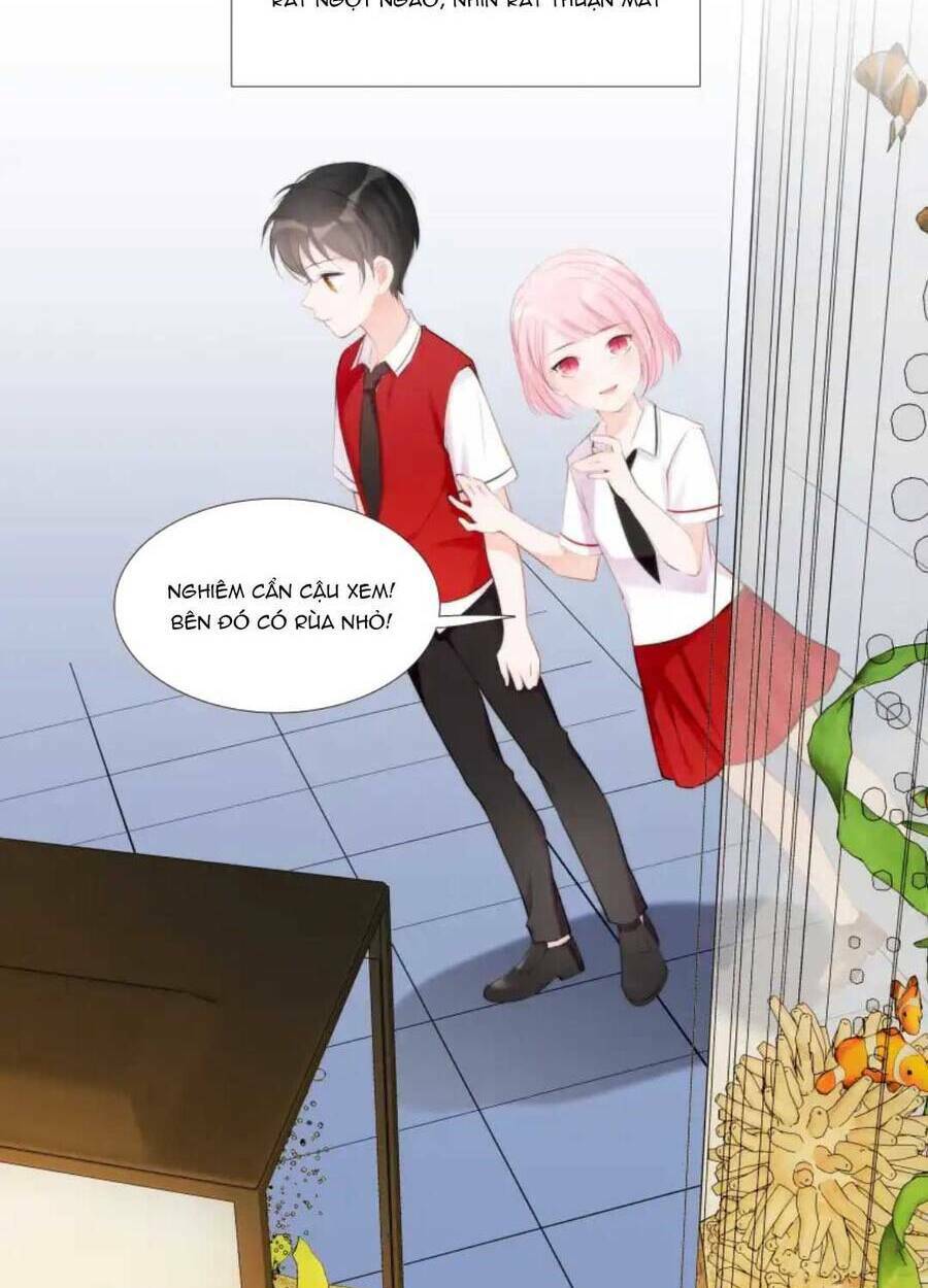 Tiểu Ma Vương Học Cách Yêu Đương Chương 14 Ảnh 63