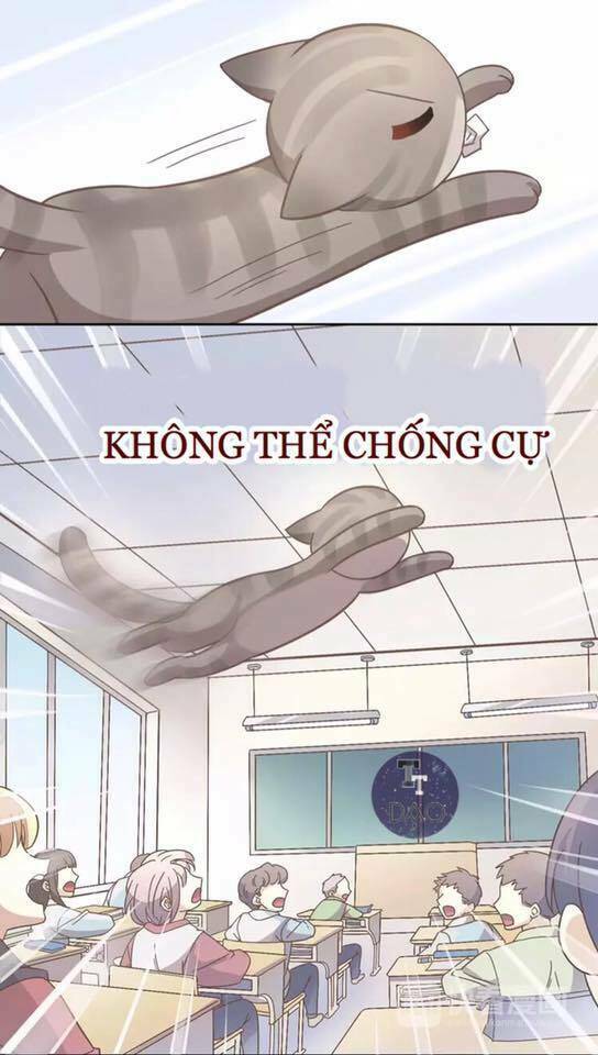 Dưới Móng Vuốt Mèo Chương 21 Ảnh 40