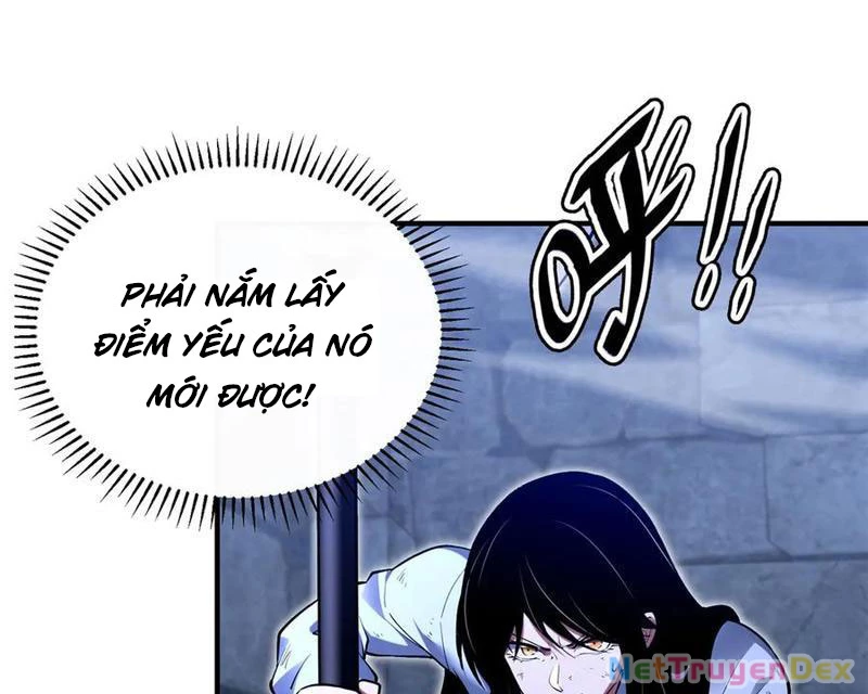 Cá Chép Tiến Hoá Thành Thần Long Chương 39 Ảnh 82