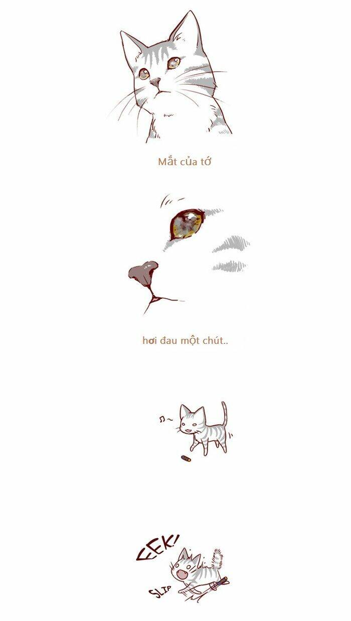 My Kitty And Old Dog Chương 3 Ảnh 3