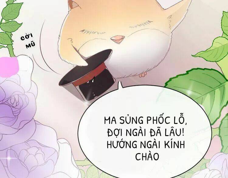 Thuần Trắng Vận Mệnh Chi Luân Chương 5 Ảnh 11