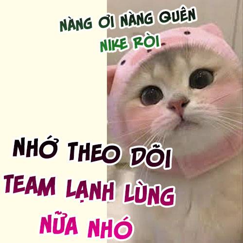 Vi Phu Của Ta Là Long Ngạo Thiên Chương 49 Ảnh 6