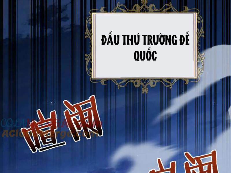 Sự Phản Bội Của Cái Bóng Gia Tộc Chương 32 Ảnh 67