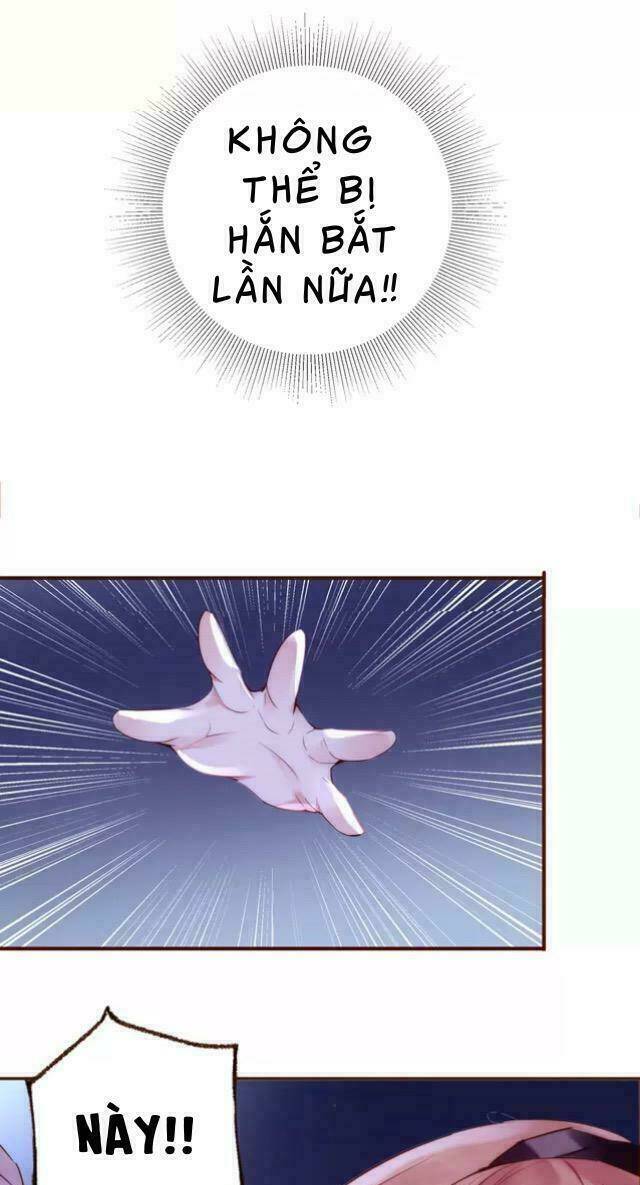 Hoa Hồng Trên Gai Chương 5 Ảnh 4