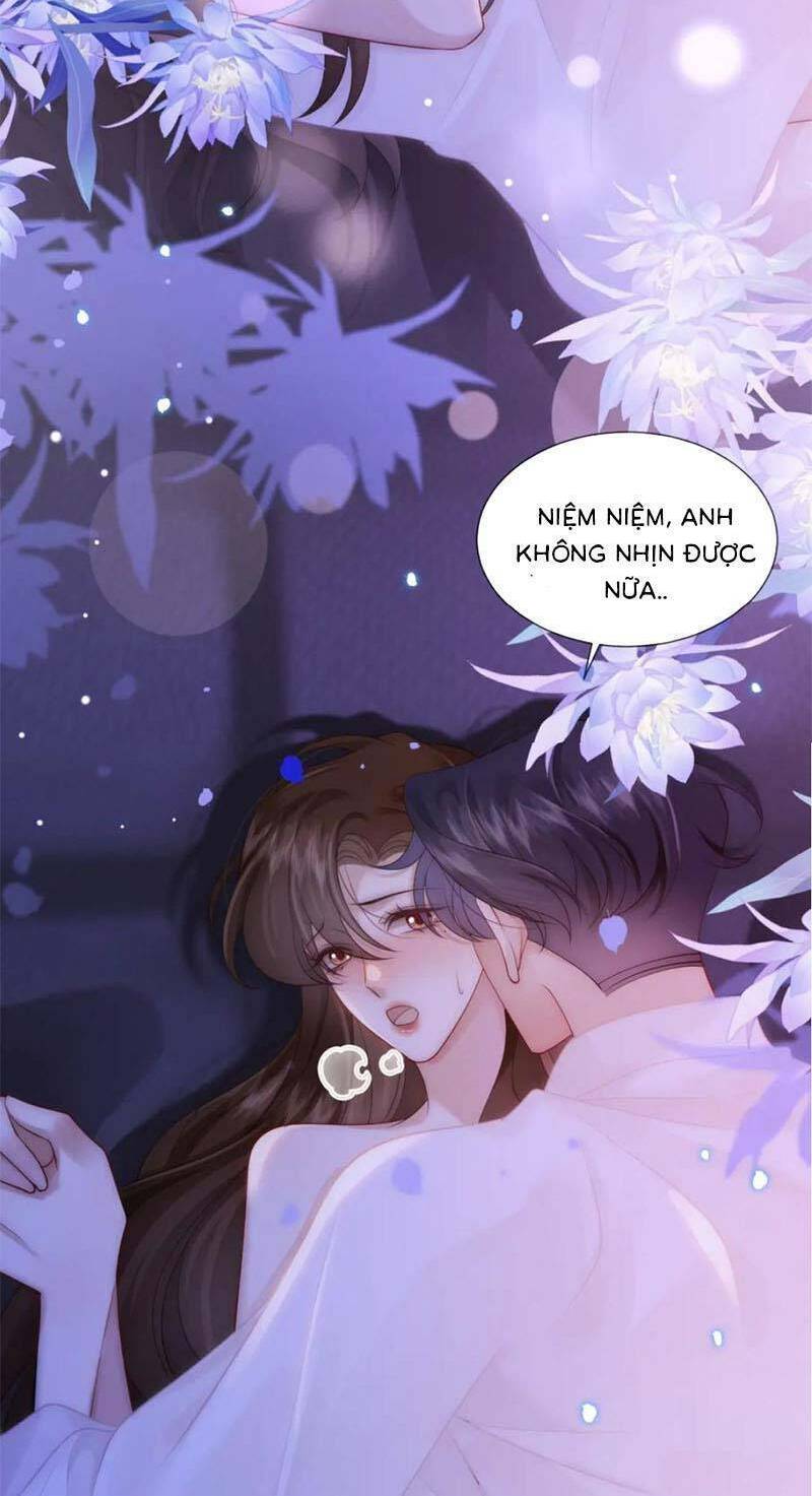 Yêu Lại Sau Một Đêm Bên Nhau Chương 38 Ảnh 19