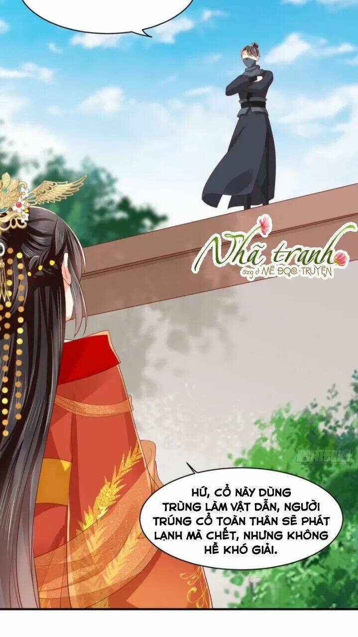 Độc Phi Ngu Ngốc Không Thể Chọc Chương 161 Ảnh 23