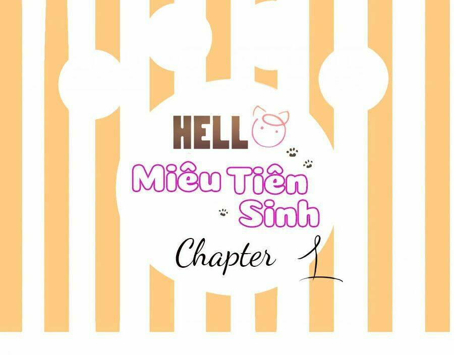 Hello Miêu Tiên Sinh Chương 1 Ảnh 2