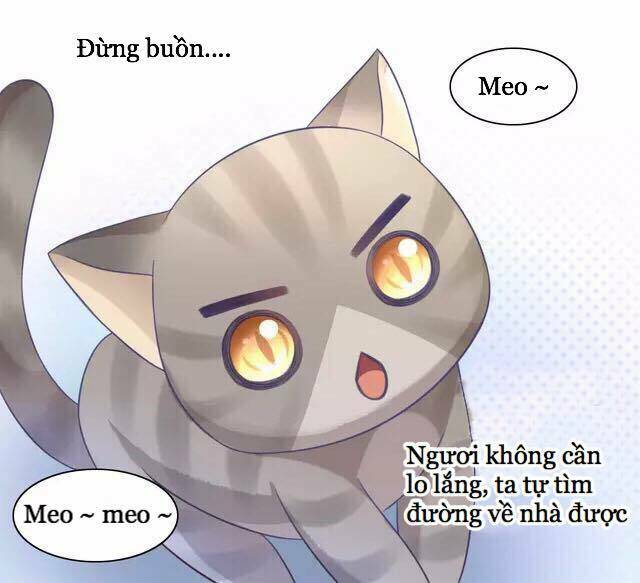 Dưới Móng Vuốt Mèo Chương 20 Ảnh 34