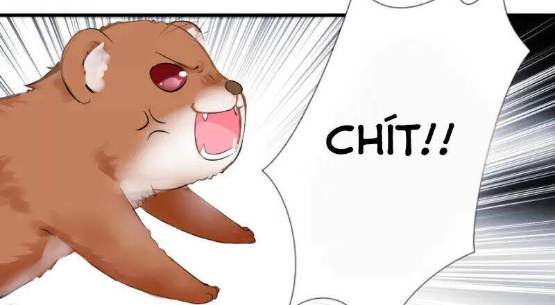 Hành Trình Sủng Đế Cơ Chương 1 Ảnh 36