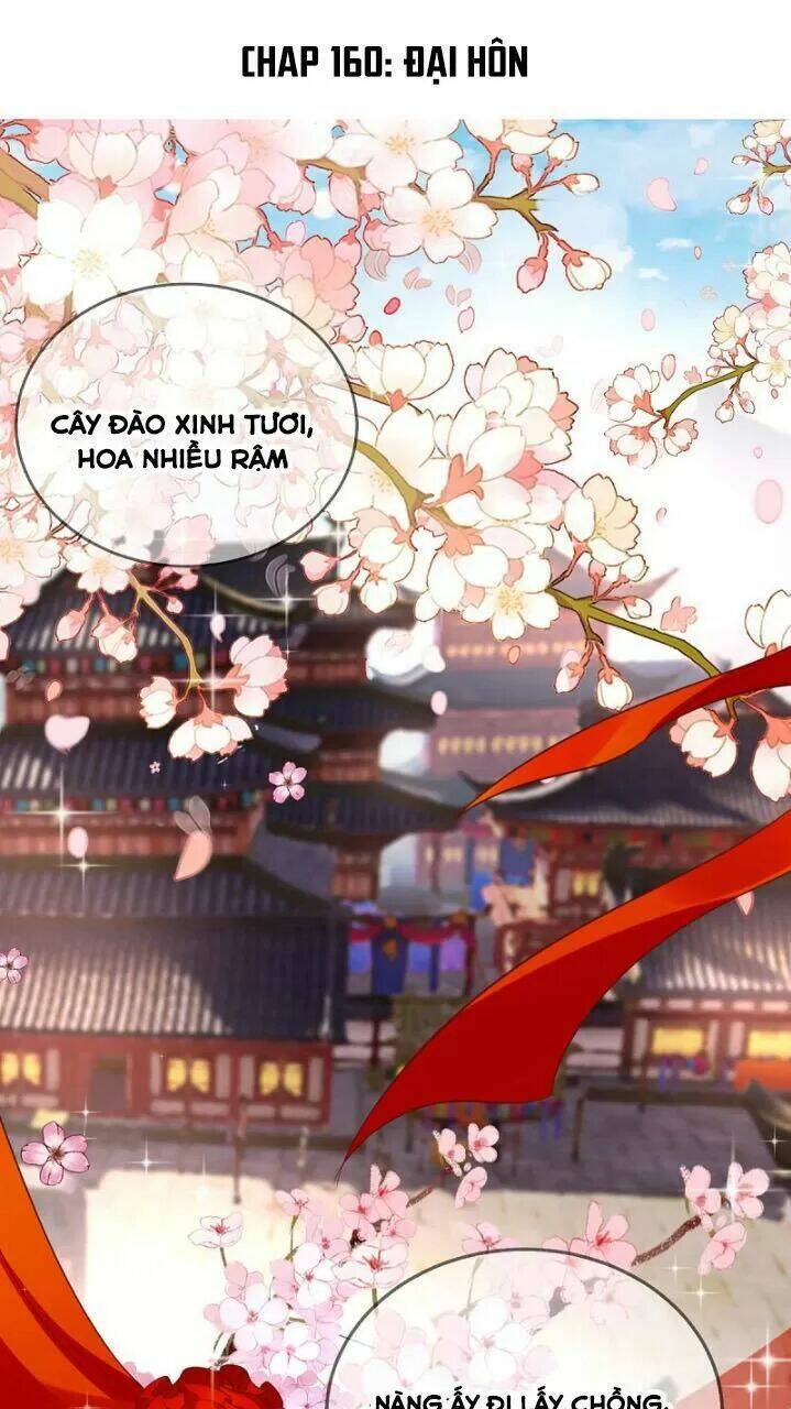 Độc Phi Ngu Ngốc Không Thể Chọc Chương 160 Ảnh 2