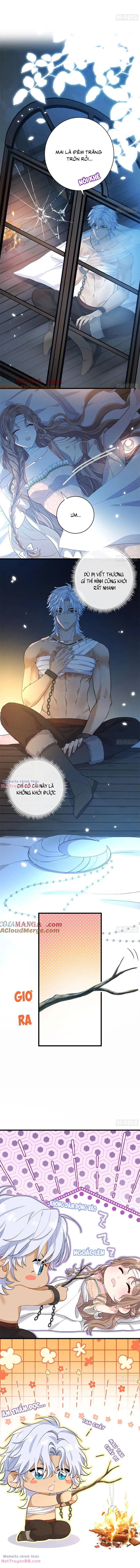 Trăng Tròn Chia Hoan Chương 16 Ảnh 3