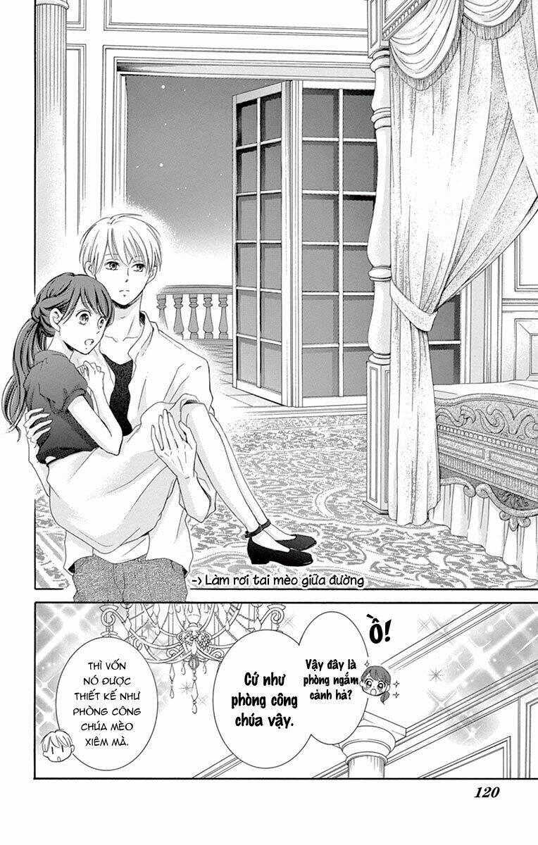Watashi Wa Tensai O Katte Iru Chương 11 Ảnh 31