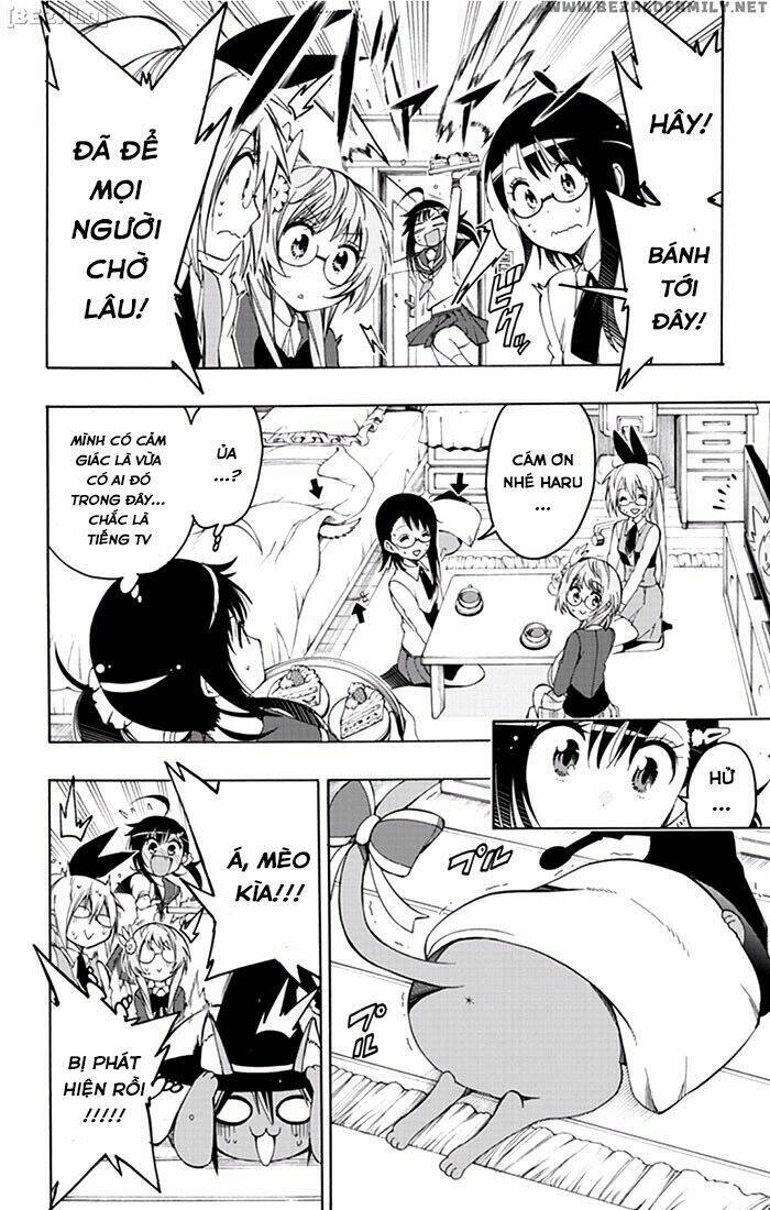 Magical Patissier Kosaki-Chan Chương 11 Ảnh 8