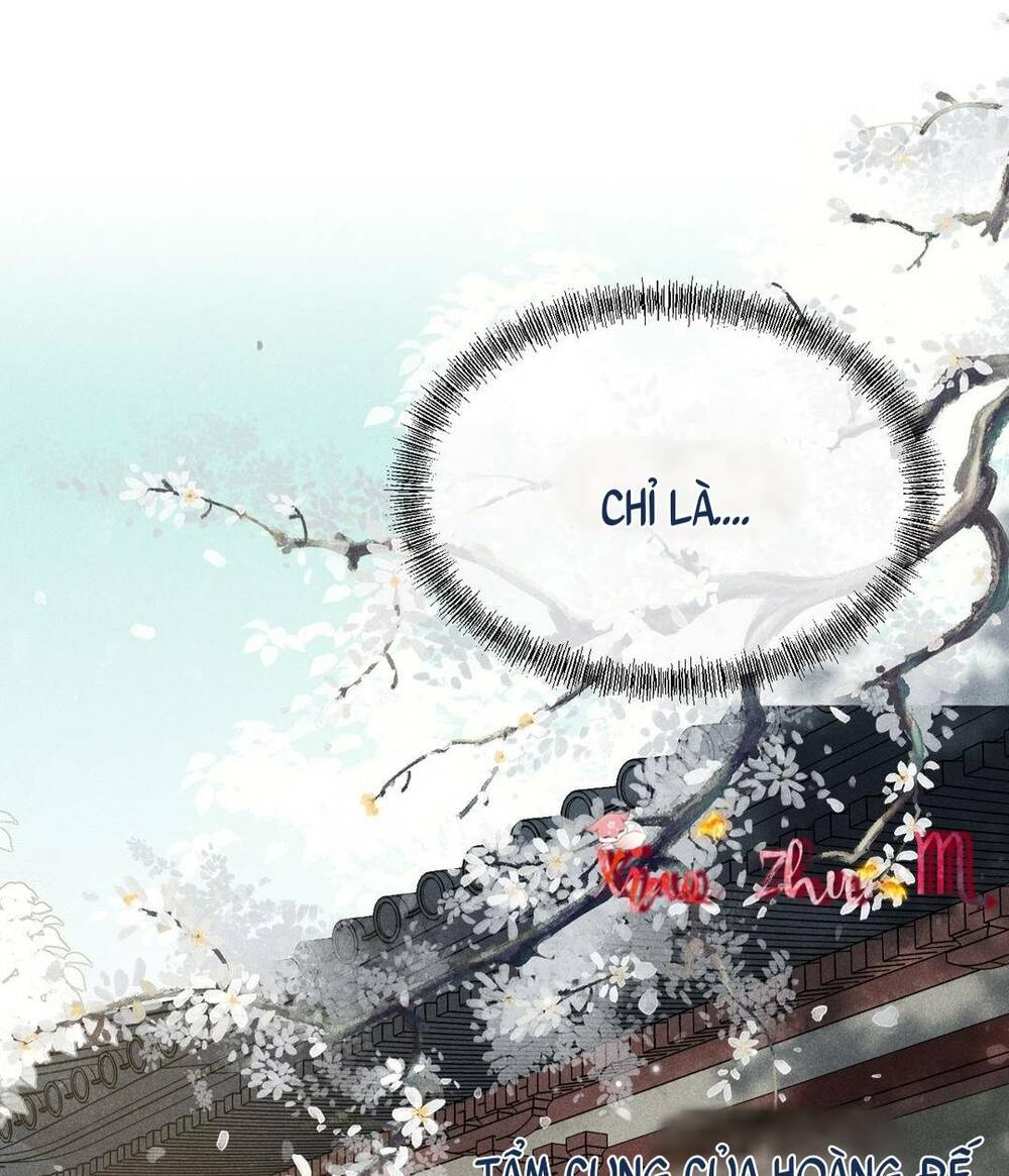 Hoàng Hậu Của Trẫm Là Công Công Chương 1 Ảnh 45