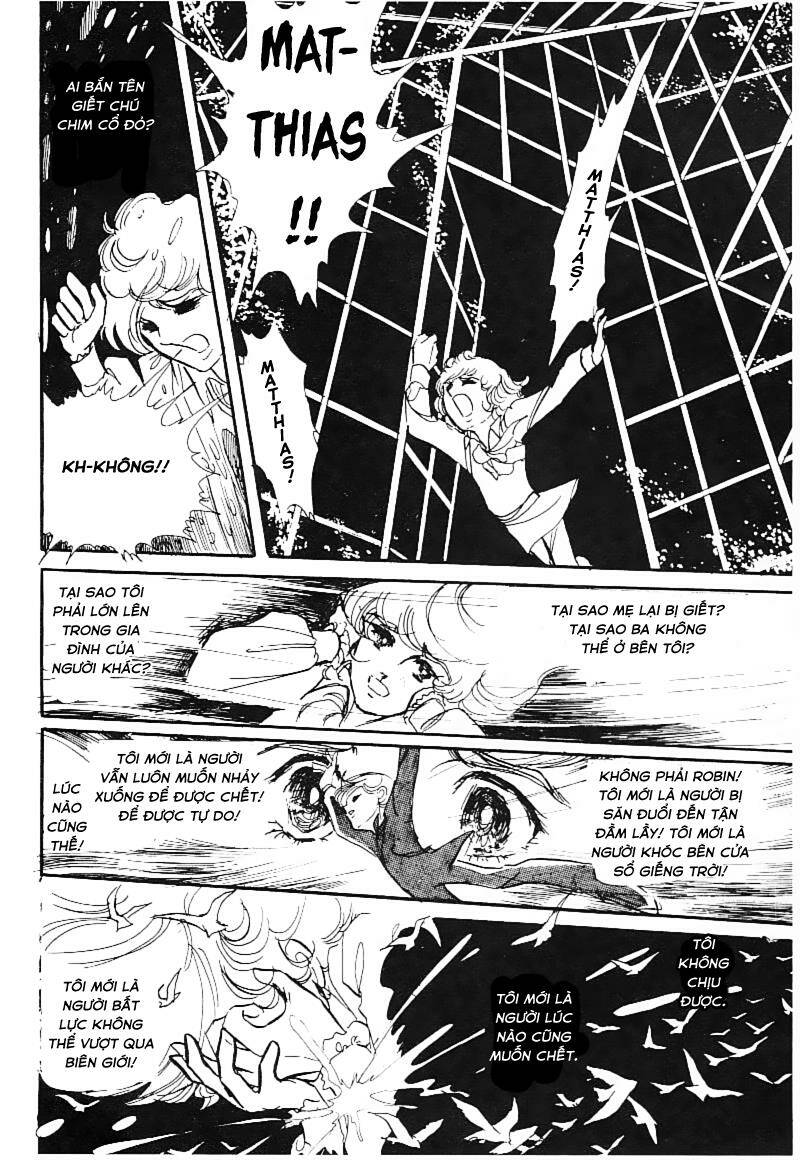 Poe No Ichizoku - Gia Tộc Poe Chương 15 Ảnh 14