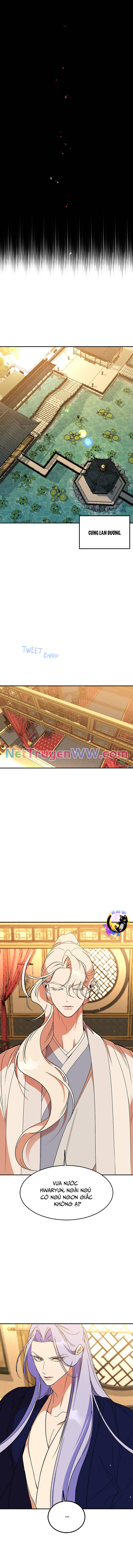 Chiến Lược Săn Hổ Của Nữ Thần Chương 58 Ảnh 7