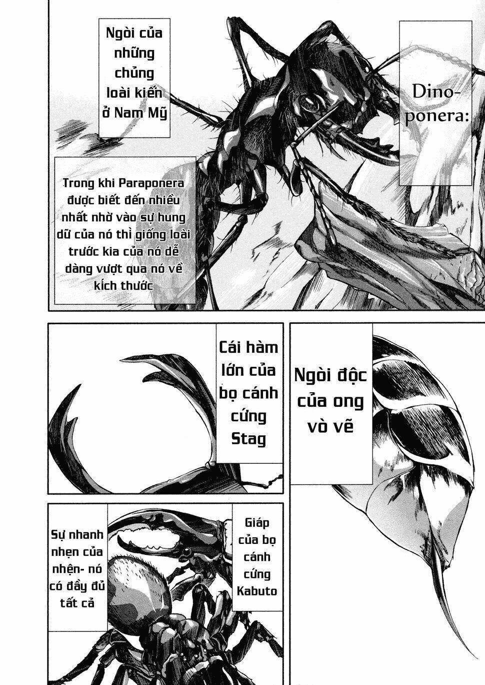 Arachnid Chương 36 Ảnh 24