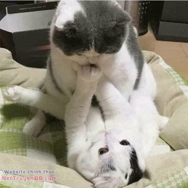 Mùa Hè Dài Ngày 31 Tháng 8 Chương 17 Ảnh 23