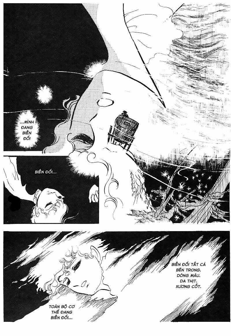 Poe No Ichizoku - Gia Tộc Poe Chương 9 Ảnh 14