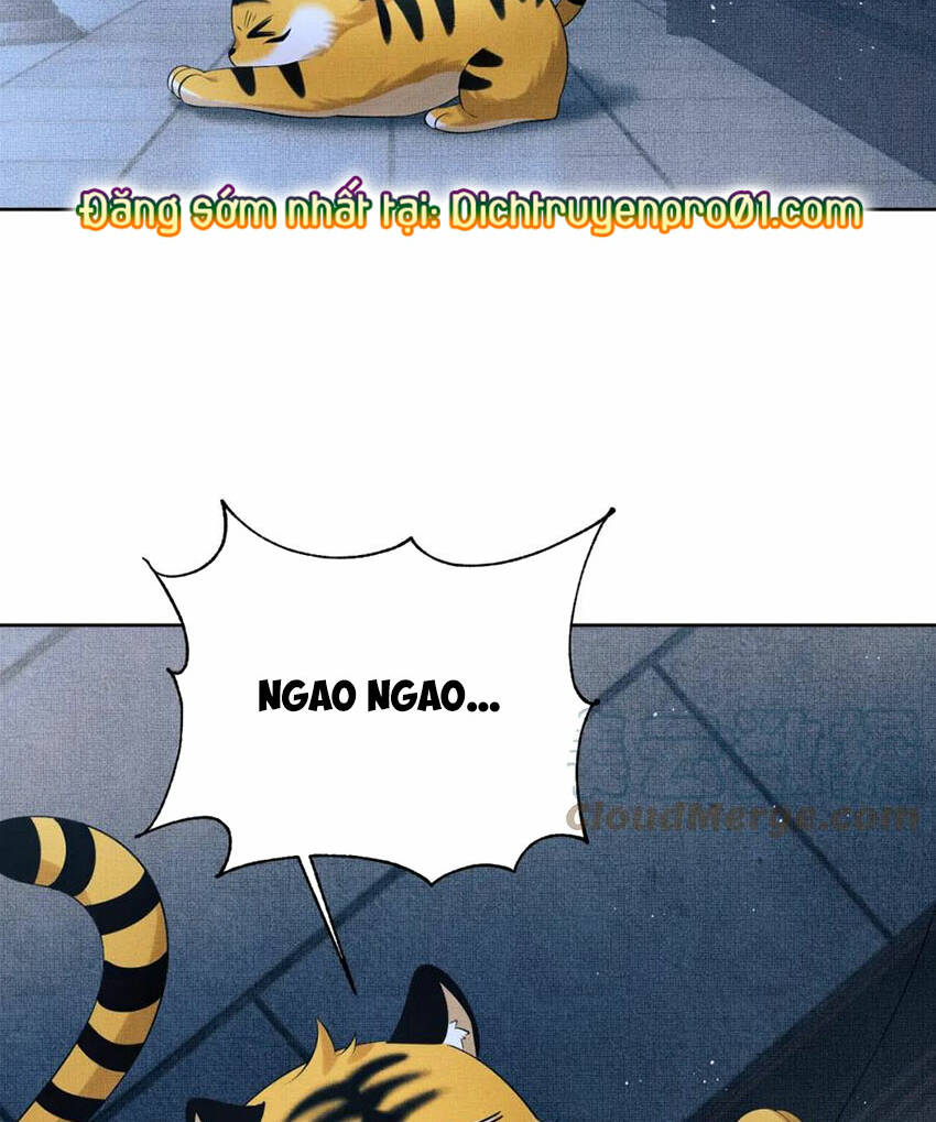 Thê Vi Thượng Chương 136.4 Ảnh 63