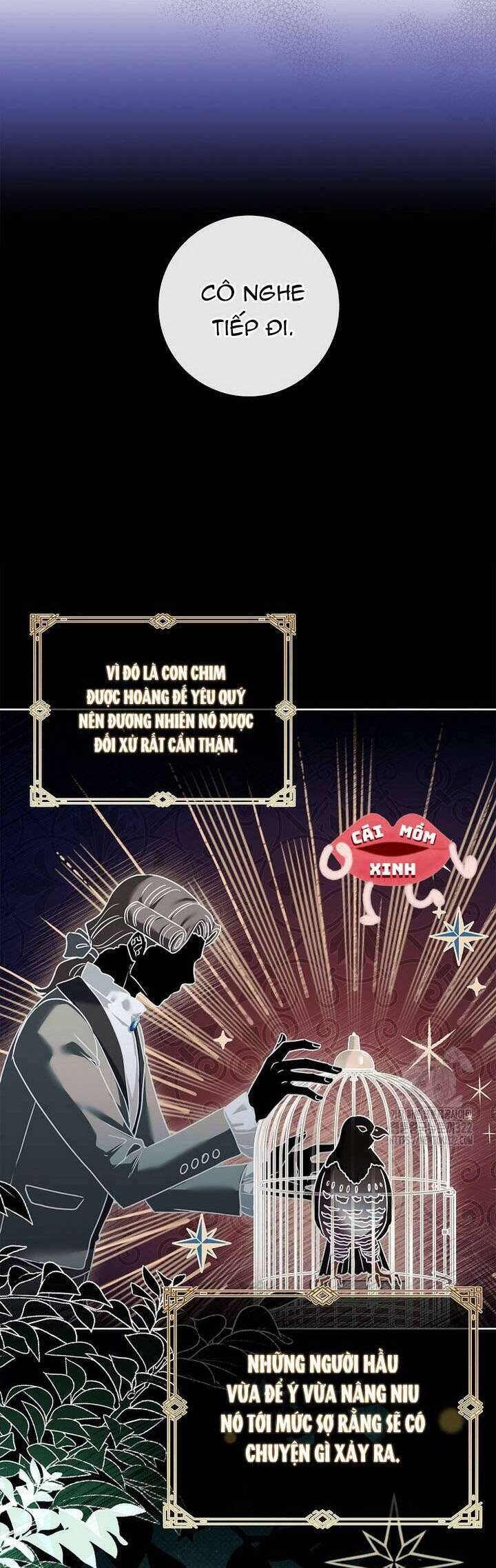 Tôi Phải Mau Chóng Kết Hôn Vì Thời Gian Có Hạn Chương 23 Ảnh 27