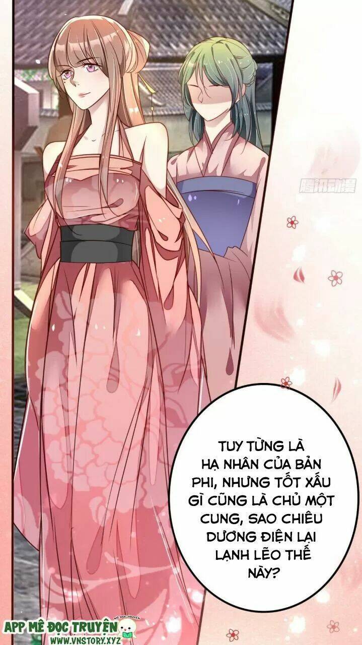 Trọng Sinh Đế Phi: Quyền Khuynh Thiên Hạ Chương 24 Ảnh 11