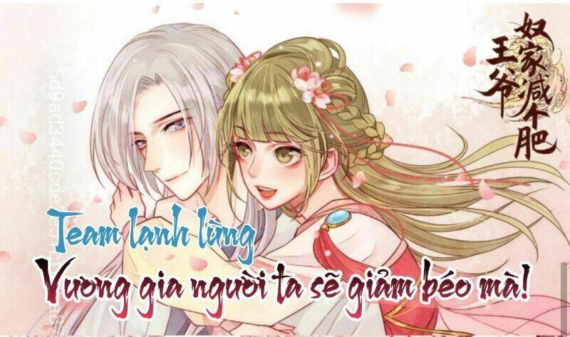 Vương Gia Người Ta Sẽ Giảm Béo Mà!!! Chương 181 Ảnh 40