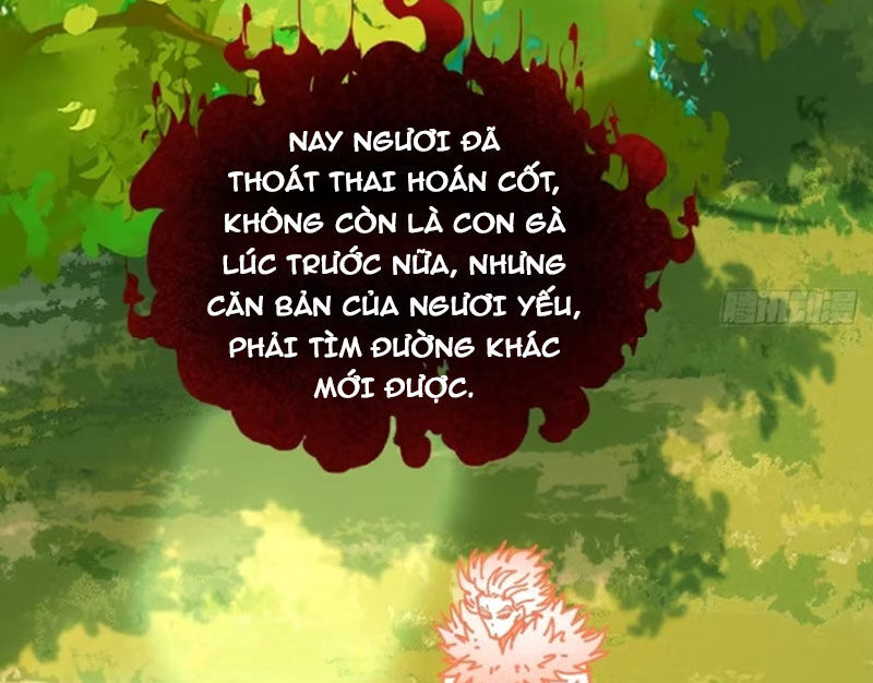 Chưa Từng Ra Tay Nhưng Ta Vẫn Thành Đại Lão Trên Thiên Bảng Chương 101 Ảnh 21