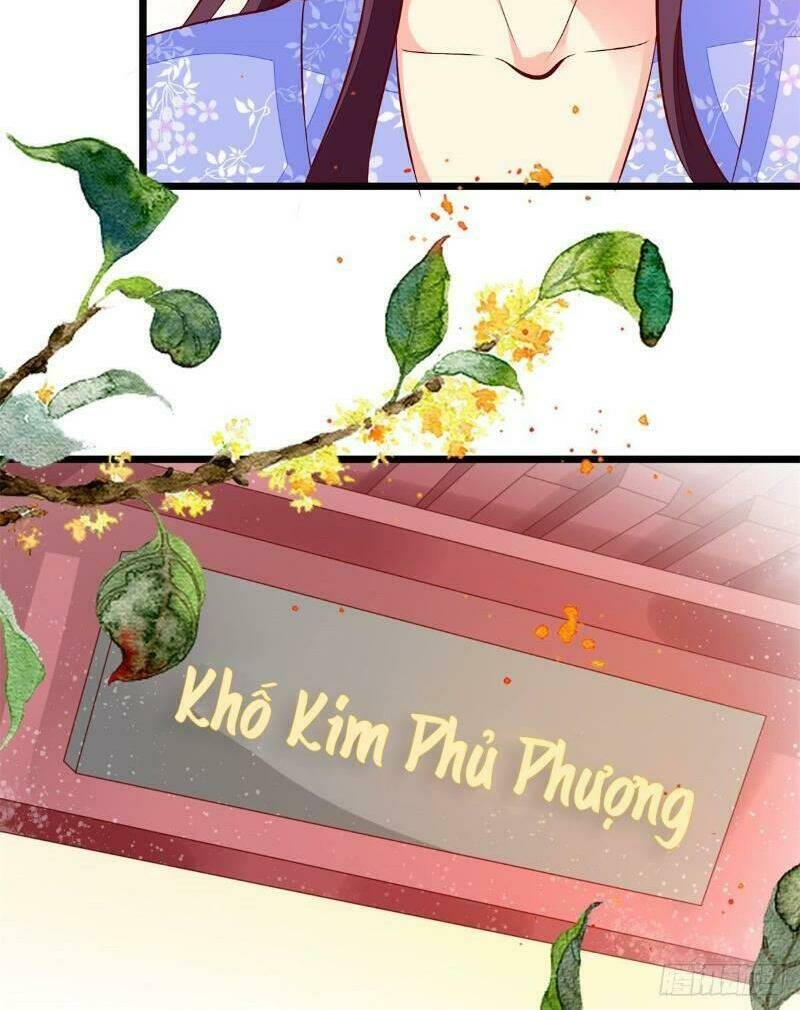 Đế Hoàng Chi Thần Y Khí Phi Chương 44 Ảnh 21