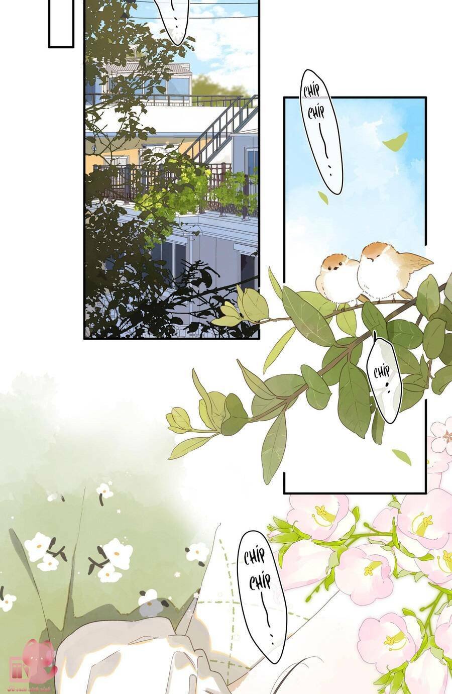 Tiệm Hoa Hướng Dương Góc Phố Chương 72 Ảnh 5